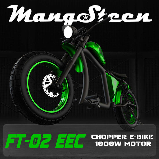 Mangosteen FT02 Street Legal Electric Bike 1000W EEC COC CE Certified 13