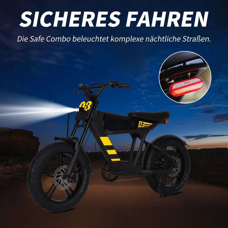 Mangosteen FT03 Electric Bicycle 250w 25km/h Switzerland for Sale 19