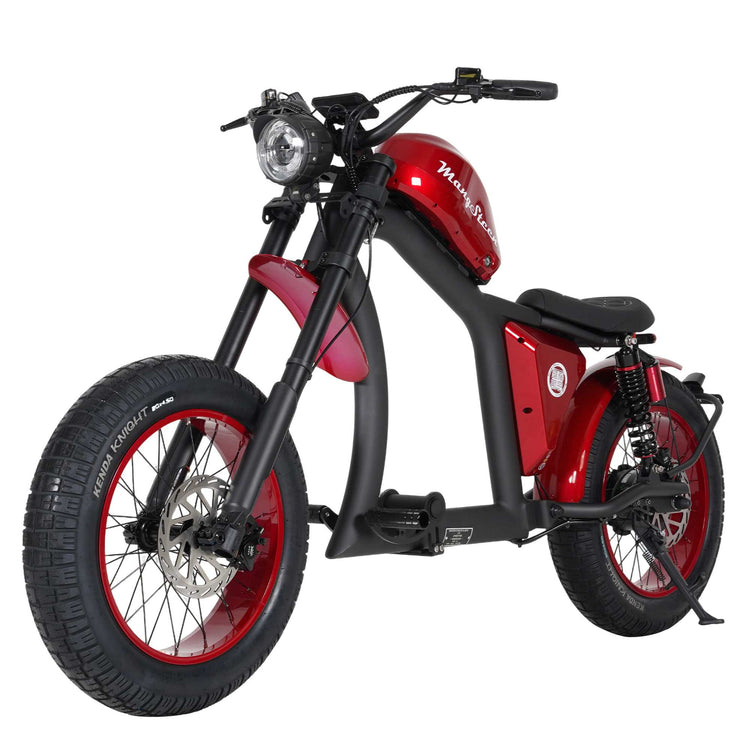 Mangosteen FT02 Street Legal Electric Bike 1000W EEC COC CE Certified 12