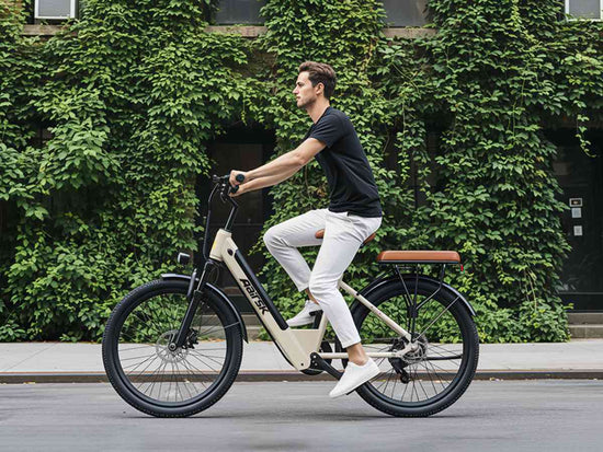 1000w electric bike for sale