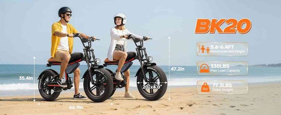 16 ebike for sale