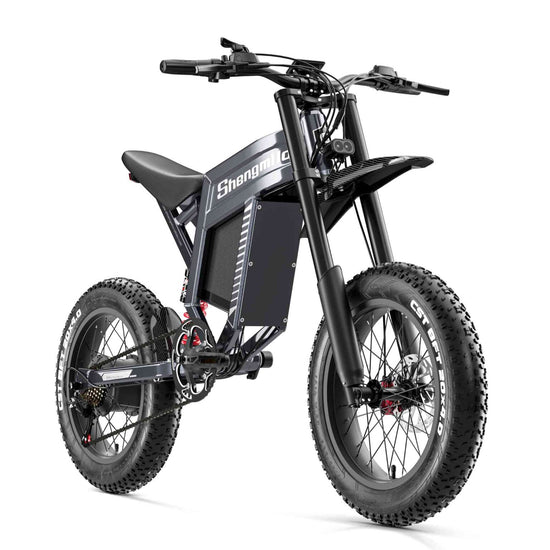 2 person electric bike for sale