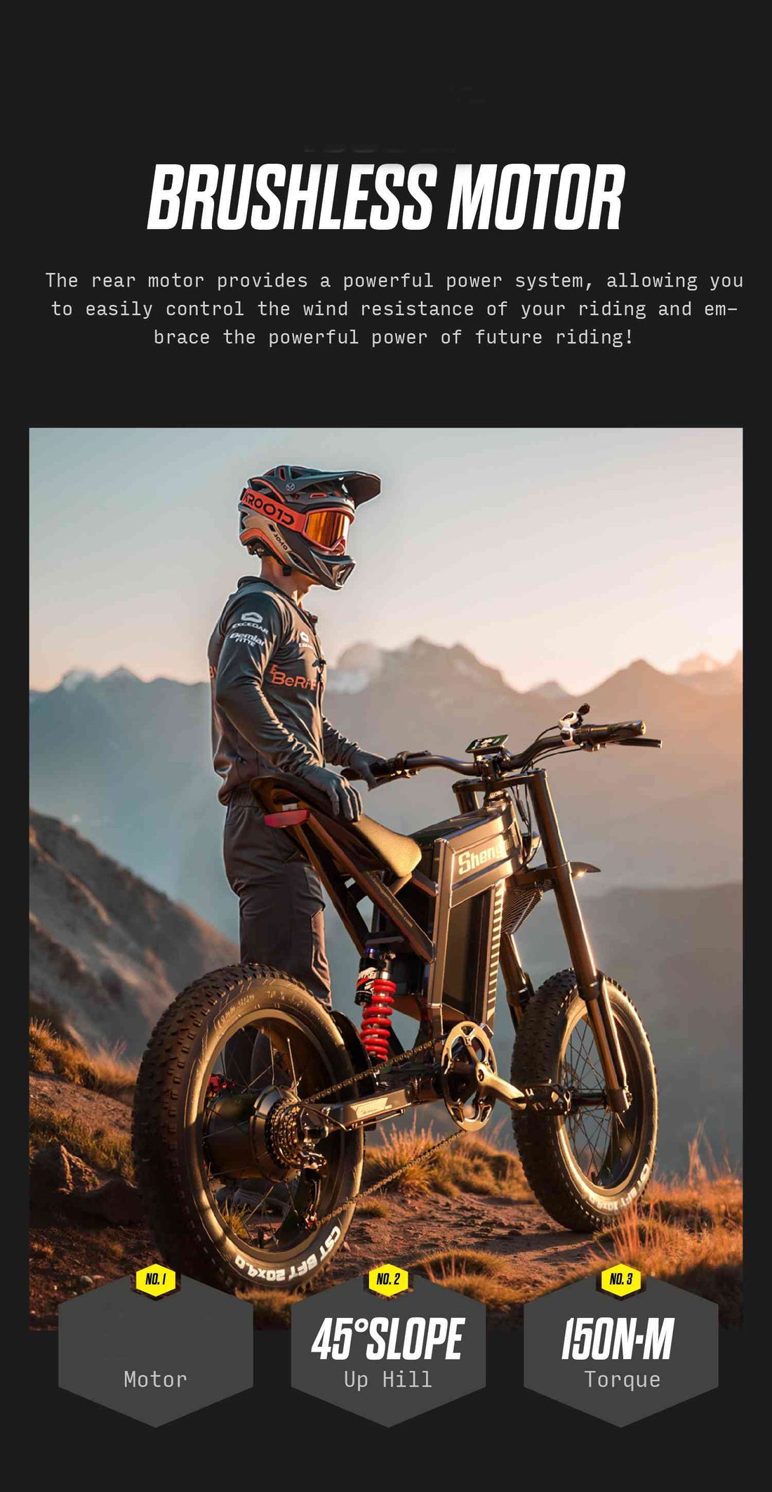 20 electric bike for sale