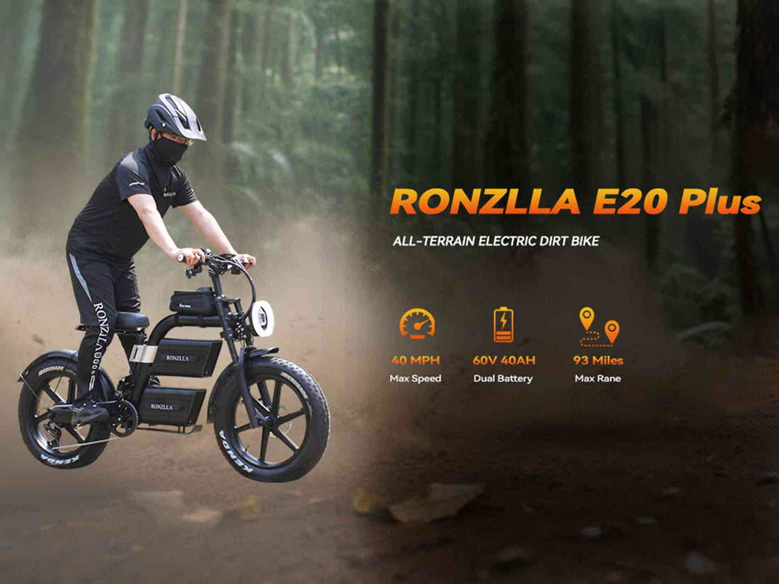 24 ebike for sale