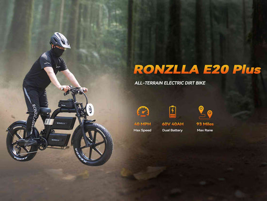 24 ebike for sale