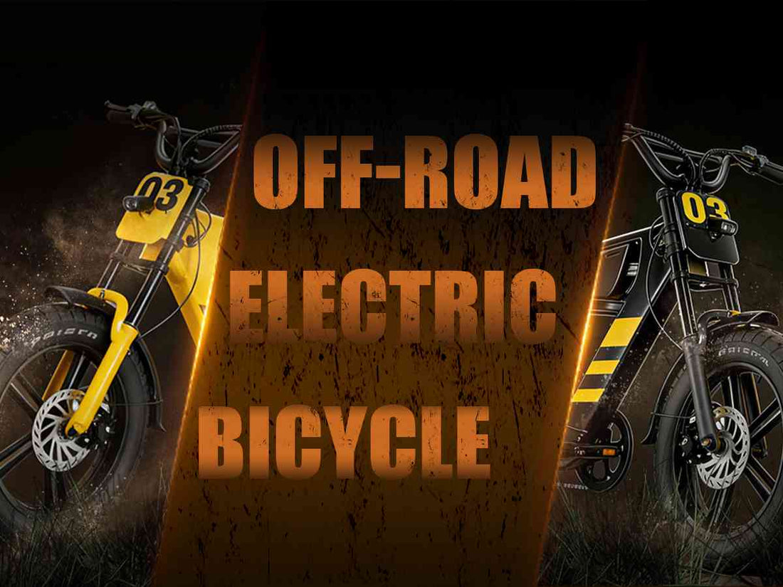 50 mph electric bike for sale