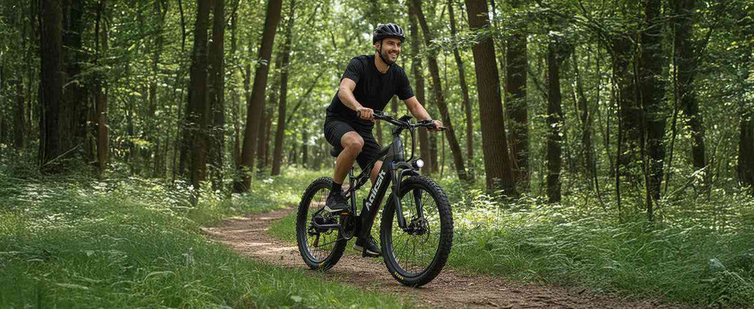 adults electric bike for sale