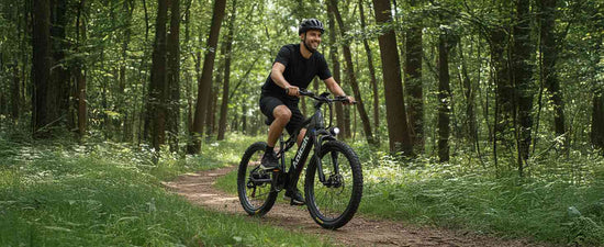adults electric bike for sale