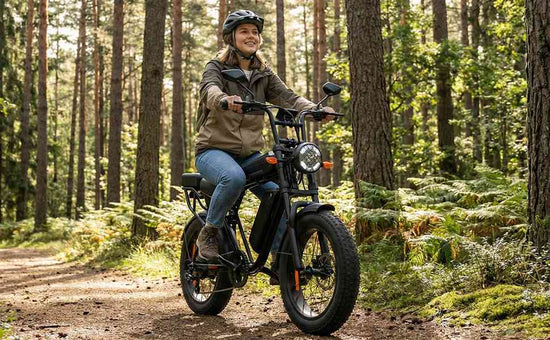 bike for adults for sale
