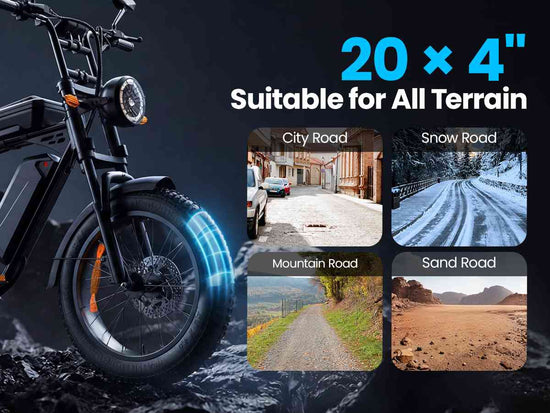 cargo bike electric for sale