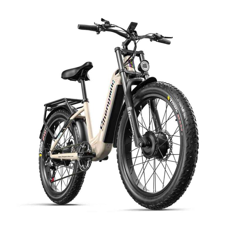 dirt e bike for sale