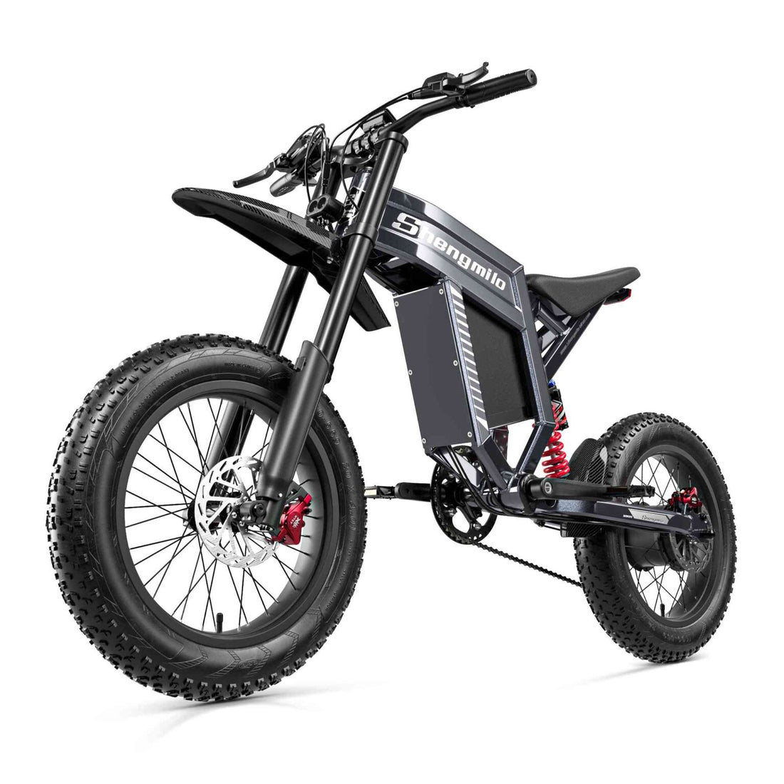 dual motor ebike 6000w for sale