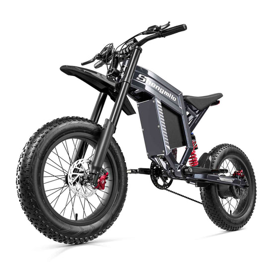 dual motor ebike 6000w for sale