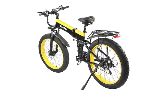 dual motor electric bike for sale