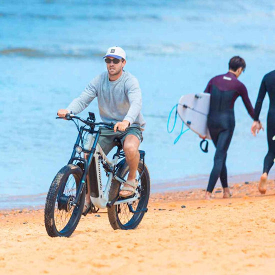 duel motor ebikes for adults for sale