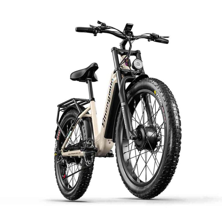 e cycle price for sale