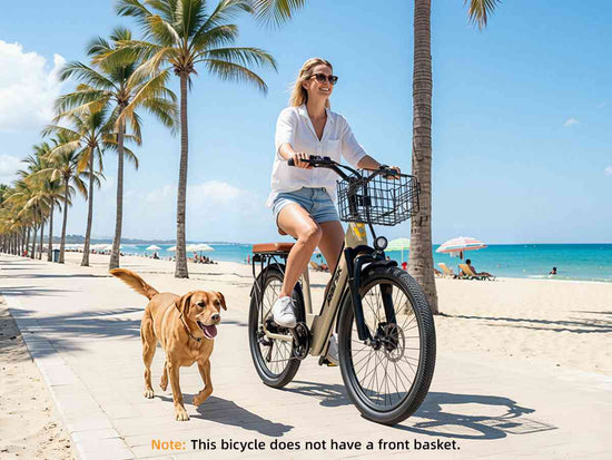 ebike 5000w for sale