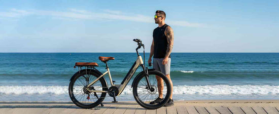 ebike 750w for sale