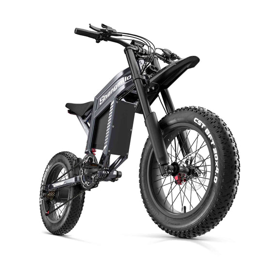 ebike adult for sale