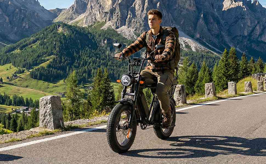 ebike for adults for sale
