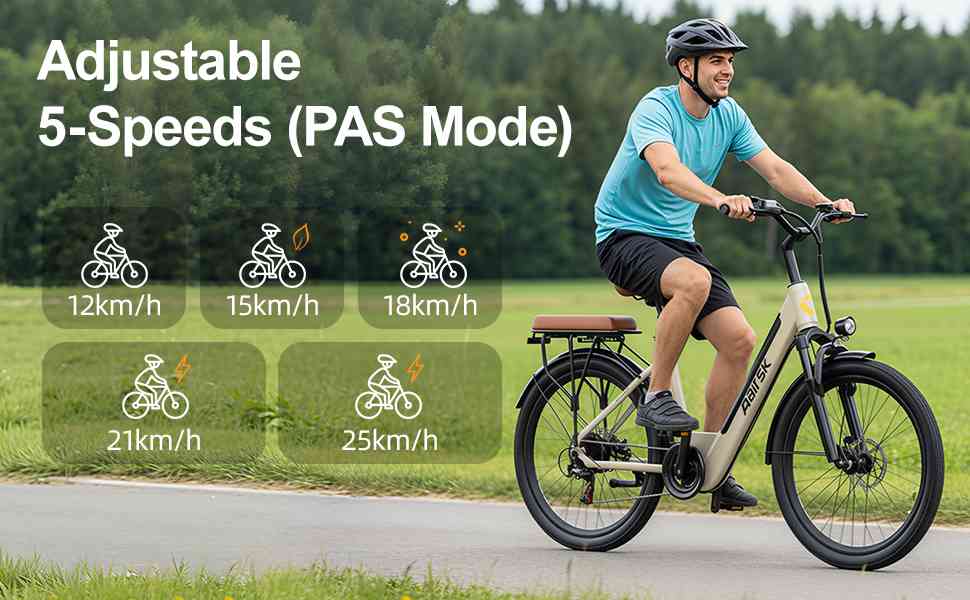 ebikes for adults 50mph for sale