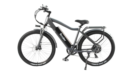 ebikes for adults for sale