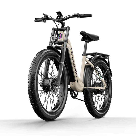 electeic bike for sale