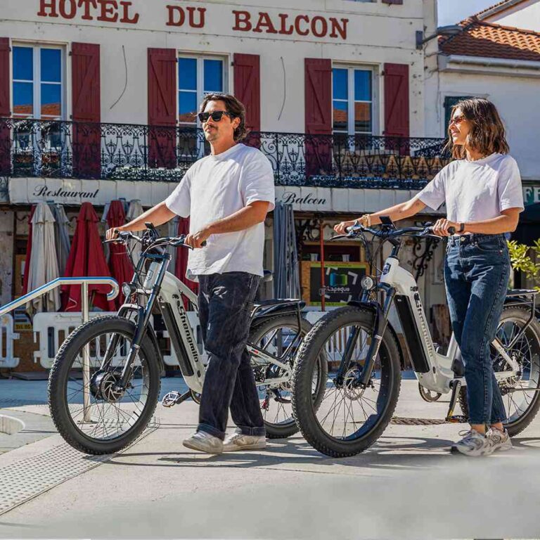 electric bicycle range for sale
