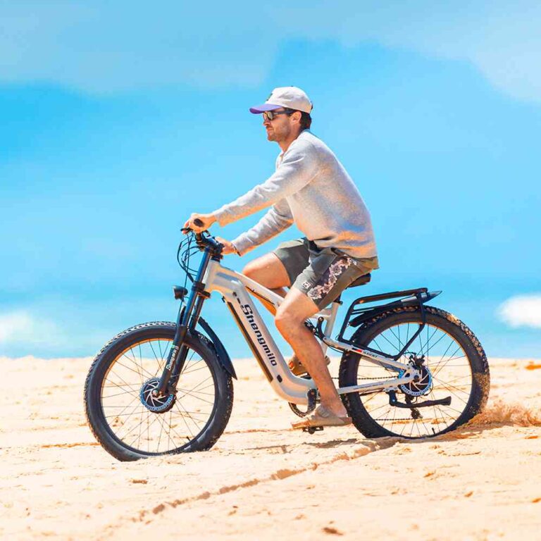 electric bicyle for sale