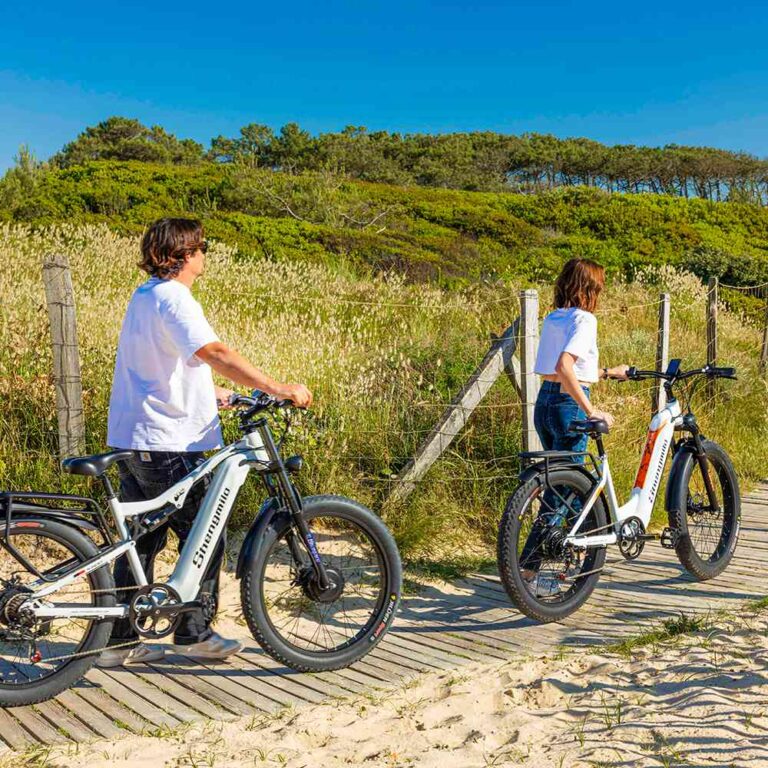 electric bike for adult for sale