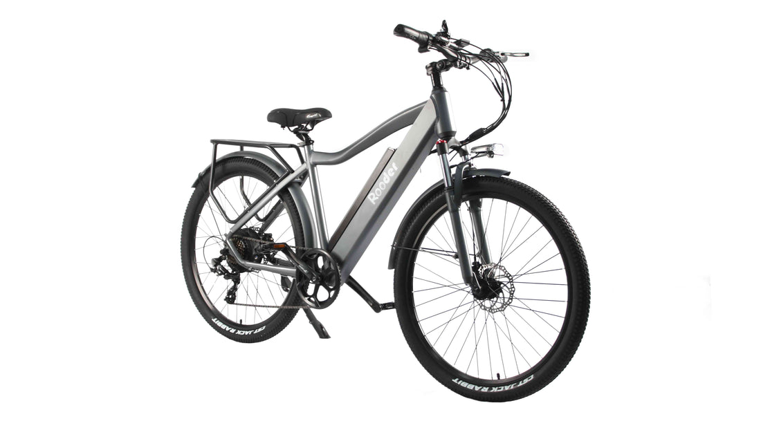 electric bike for adults 750w for sale