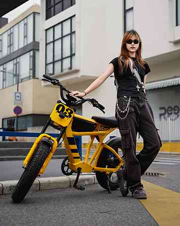 electric bike for adults fat tire for sale