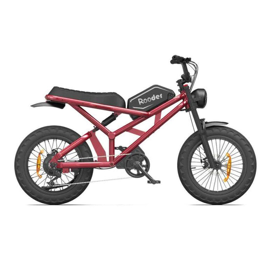 electric bike for beach for sale
