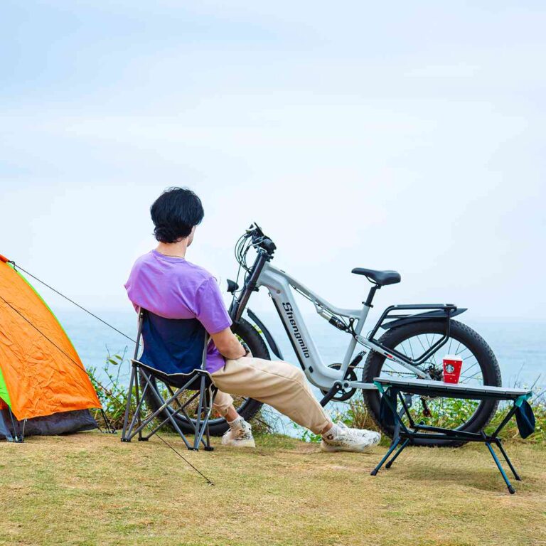 electric bike s for sale