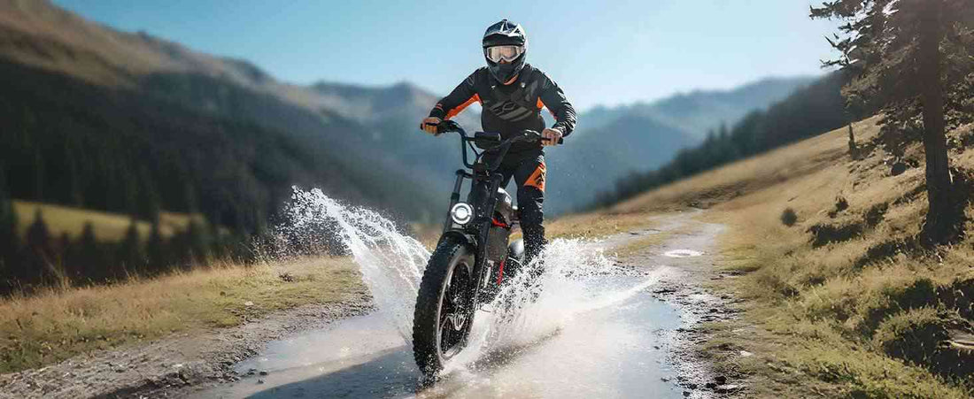 electric bike top speed for sale