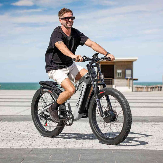 electric bike with cargo for sale