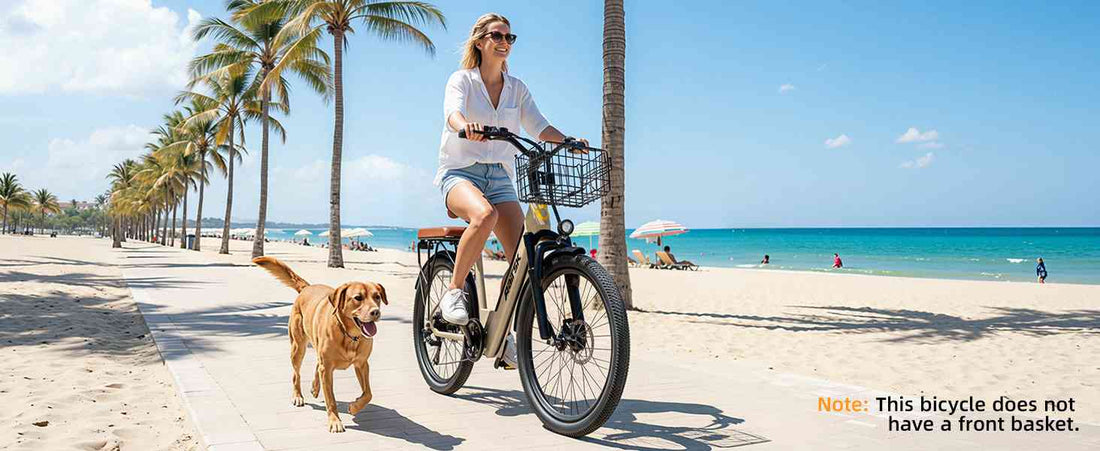electric dirtbike for adults for sale