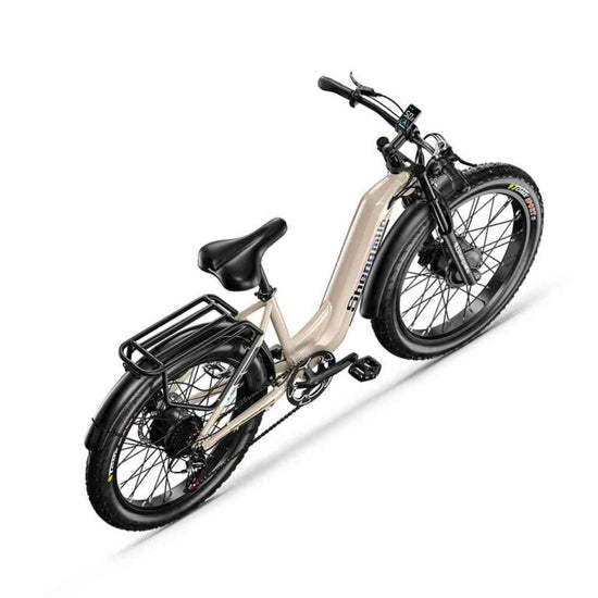 electric e bike for adults for sale