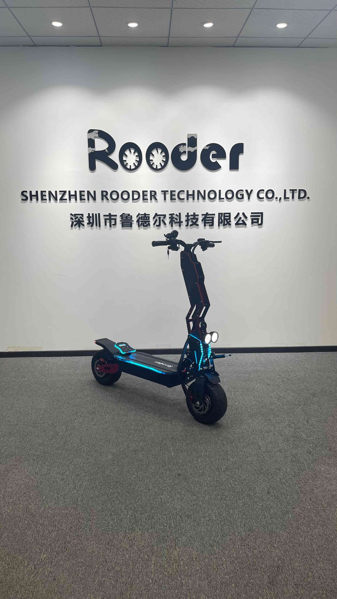 electric ride for sale