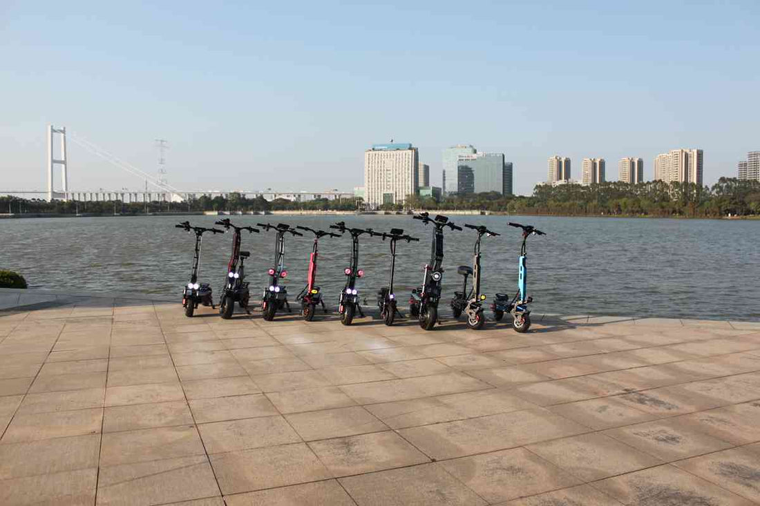 electric scooter with 3 wheels for sale