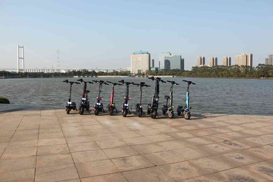 electric scooter with 3 wheels for sale