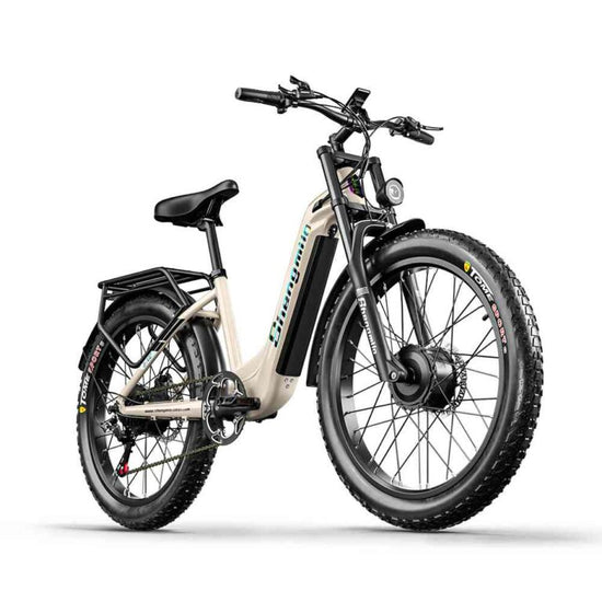 electric trike for adults for sale