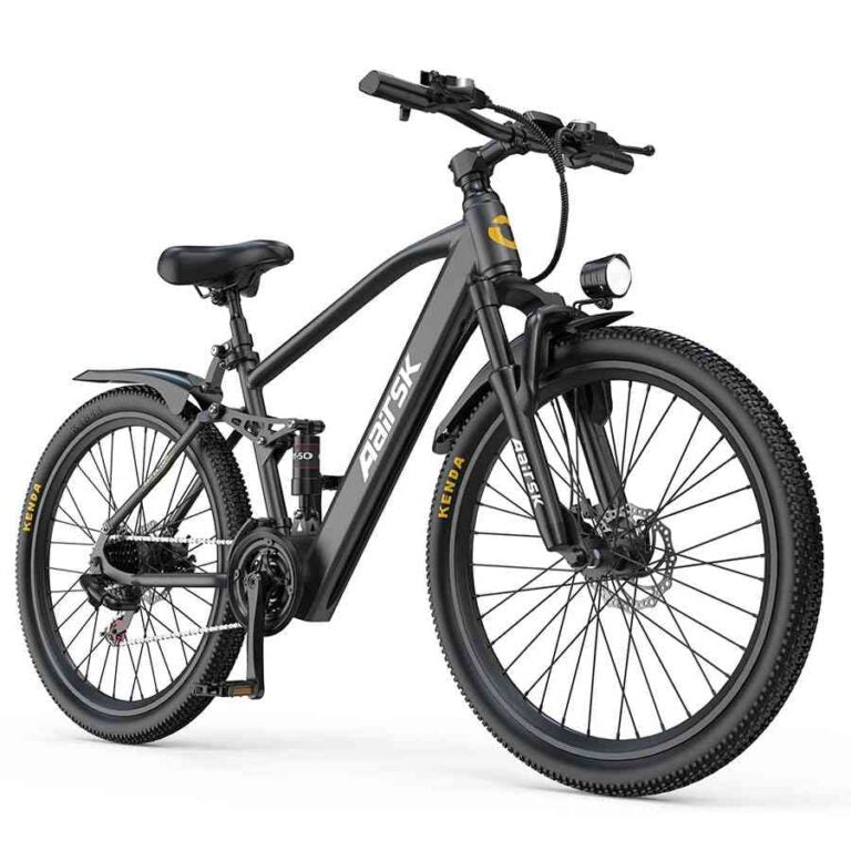 electric vehicle for adults for sale