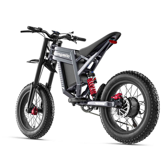 electronic bicycle for sale