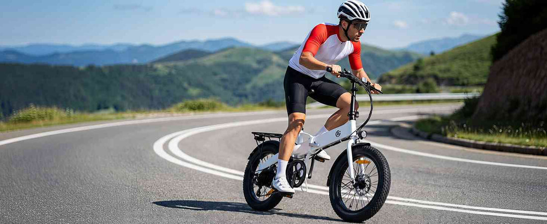 fat tire electric bike for sale