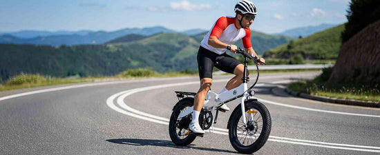 fat tire electric bike for sale