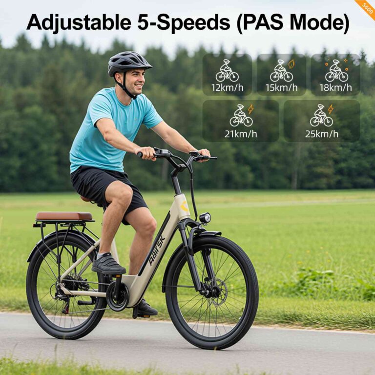 foldable e bike for adults for sale
