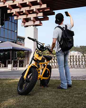 folding electric bikes for adults for sale