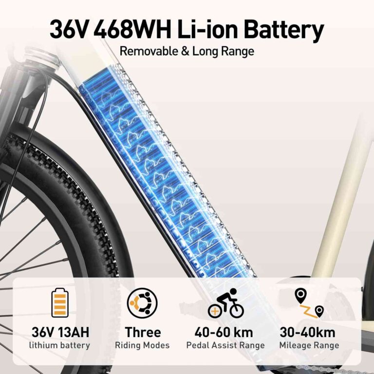 funghang electric bike for sale
