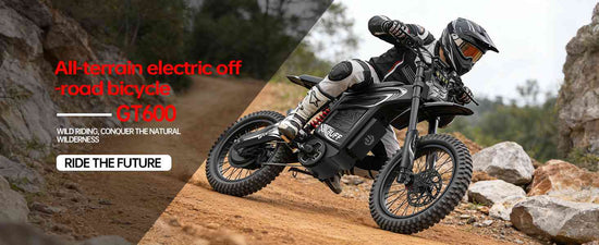 motor bike for adults for sale